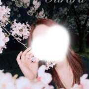 ヒメ日記 2026/04/11 20:54 投稿 キララ 沖縄素人図鑑