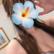 えむ お久しぶりです BITボイン