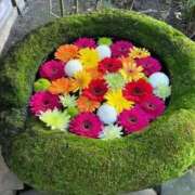 みく かわいいもの 奥様特急　上野・鶯谷店