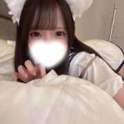 ヒメ日記 2026/07/24 21:50 投稿 あまね 君を舐めたくて学園