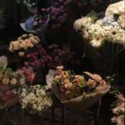 ヒメ日記 2025/10/16 07:48 投稿 神楽　紫苑 タッチVIP