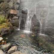 ヒメ日記 2025/11/06 07:27 投稿 神楽　紫苑 タッチVIP