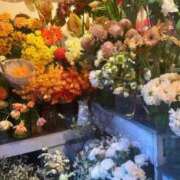 ヒメ日記 2026/02/19 07:48 投稿 神楽　紫苑 タッチVIP