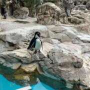 ヒメ日記 2025/10/18 20:45 投稿 さやか 横浜おかあさん