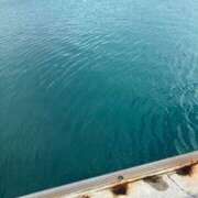 ヒメ日記 2025/11/15 08:35 投稿 さやか 横浜おかあさん