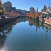 ヒメ日記 2025/11/22 12:07 投稿 さやか 横浜おかあさん