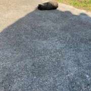 ヒメ日記 2025/11/24 12:25 投稿 さやか 横浜おかあさん