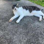 ヒメ日記 2025/12/10 09:01 投稿 さやか 横浜おかあさん