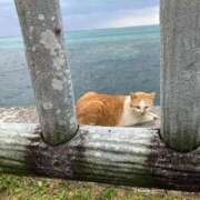 ヒメ日記 2025/12/18 14:05 投稿 さやか 横浜おかあさん