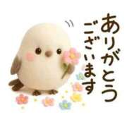 ヒメ日記 2026/02/03 15:03 投稿 さやか 横浜おかあさん