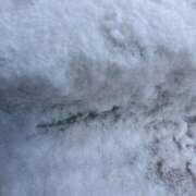 ヒメ日記 2026/02/08 07:45 投稿 さやか 横浜おかあさん