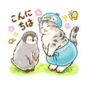 ヒメ日記 2026/03/06 14:55 投稿 さやか 横浜おかあさん