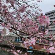 ヒメ日記 2026/03/20 10:45 投稿 さやか 横浜おかあさん