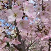 ヒメ日記 2026/03/29 12:25 投稿 さやか 横浜おかあさん