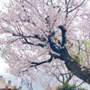 さやか 4がつ 横浜おかあさん