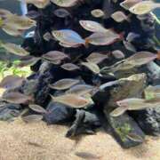 ヒメ日記 2026/04/23 16:13 投稿 さやか 横浜おかあさん