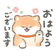 ヒメ日記 2026/05/20 08:15 投稿 さやか 横浜おかあさん