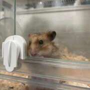 ゆま お礼✨ マリン土浦本店