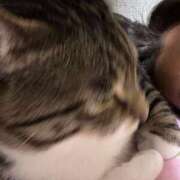 ヒメ日記 2025/11/25 20:12 投稿 桐島みれ アラフォーna奥様 アラフィフna奥様（埼玉ハレ系）