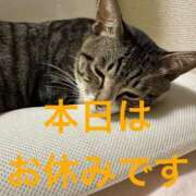 桐島みれ こんばんは！ アラフォーna奥様 アラフィフna奥様（埼玉ハレ系）