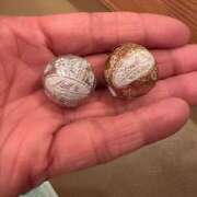 ヒメ日記 2025/12/21 19:21 投稿 桐島みれ アラフォーna奥様 アラフィフna奥様（埼玉ハレ系）