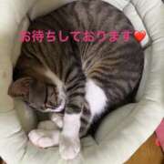 ヒメ日記 2025/12/26 23:00 投稿 桐島みれ アラフォーna奥様 アラフィフna奥様（埼玉ハレ系）