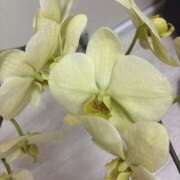 ヒメ日記 2026/03/30 17:22 投稿 みゆき 美熟女倶楽部Hip's 春日部店