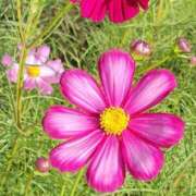 ヒメ日記 2025/10/13 18:26 投稿 柴田 久留米デリヘルセンター