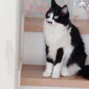 ヒメ日記 2025/10/26 21:16 投稿 柴田 久留米デリヘルセンター