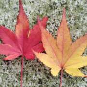 ヒメ日記 2025/11/04 02:46 投稿 柴田 久留米デリヘルセンター