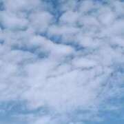 ヒメ日記 2025/11/11 14:46 投稿 柴田 久留米デリヘルセンター