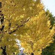 ヒメ日記 2025/11/14 13:56 投稿 柴田 久留米デリヘルセンター