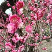 ヒメ日記 2026/02/14 09:51 投稿 柴田 久留米デリヘルセンター