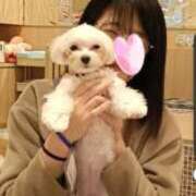 ヒメ日記 2026/04/10 09:26 投稿 柴田 久留米デリヘルセンター