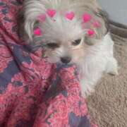 ヒメ日記 2025/11/23 01:50 投稿 リミ RING