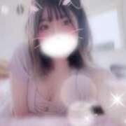 ヒメ日記 2026/01/29 02:22 投稿 リミ RING