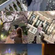 ヒメ日記 2026/03/19 17:31 投稿 リミ RING