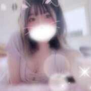 ヒメ日記 2026/03/20 08:30 投稿 リミ RING