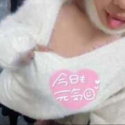 ヒメ日記 2026/02/15 06:21 投稿 らら プロフィール 京都店