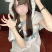 りほ こんばんは🌙🐻‍❄️ My Essentials