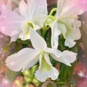 ヒメ日記 2025/10/06 11:20 投稿 マリア マダム錦糸町