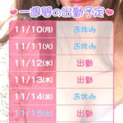 ヒメ日記 2025/11/10 18:55 投稿 ひさな 土浦ハッピーマットパラダイス