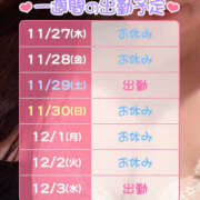 ヒメ日記 2025/11/27 18:17 投稿 ひさな 土浦ハッピーマットパラダイス