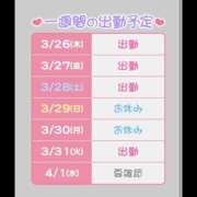 ヒメ日記 2026/03/26 09:18 投稿 ひさな 土浦ハッピーマットパラダイス