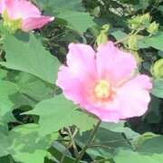 ヒメ日記 2025/10/07 06:06 投稿 あいり 池袋マリン別館