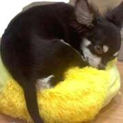 ヒメ日記 2025/11/10 14:35 投稿 あいり 池袋マリン別館