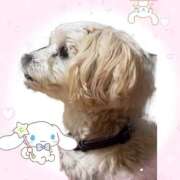 ヒメ日記 2025/10/23 11:22 投稿 ゆずき 渋谷くいーんず