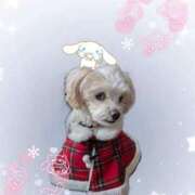 ヒメ日記 2025/11/08 11:20 投稿 ゆずき 渋谷くいーんず