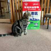 まおみ お礼 完熟ばなな梅田