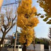 ヒメ日記 2025/12/15 19:44 投稿 まおみ 完熟ばなな梅田